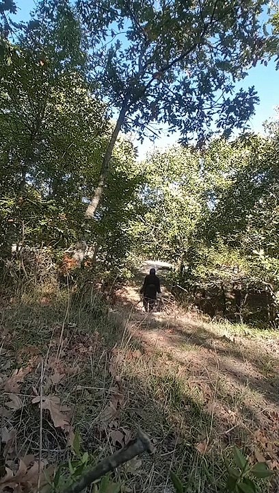 Kumpulin ranting kering di hutan sendirian untuk pemanas ruangan kami musim dingin mulai