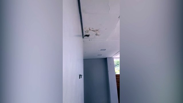 Enxame de abelhas invade residência e Defesa Civil é acionada para retirada