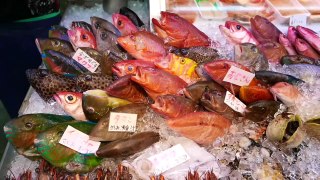 ALIEN FISH Japanese Street Food
