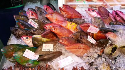 ALIEN FISH Japanese Street Food