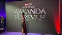 Anteprima di Wakanda Forever a Milano, un tuffo nel mondo Marvel