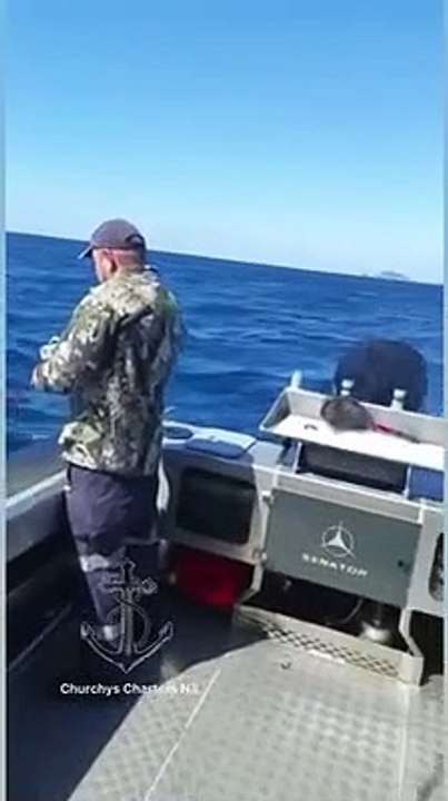 Grosso squalo salta su una barca: terrore durante battuta di pesca in Nuova Zelanda VIDEO