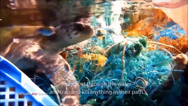 Giving Nature A Voice - Plastics Are Forever