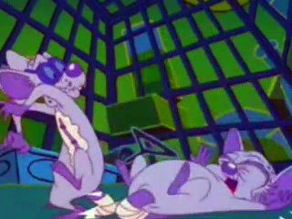 Pinky And The Brain - S3E11 - This Old Mouse