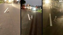 VÍDEO: Cobra causa engarrafamento de 30 minutos ao se sentar no meio da estrada