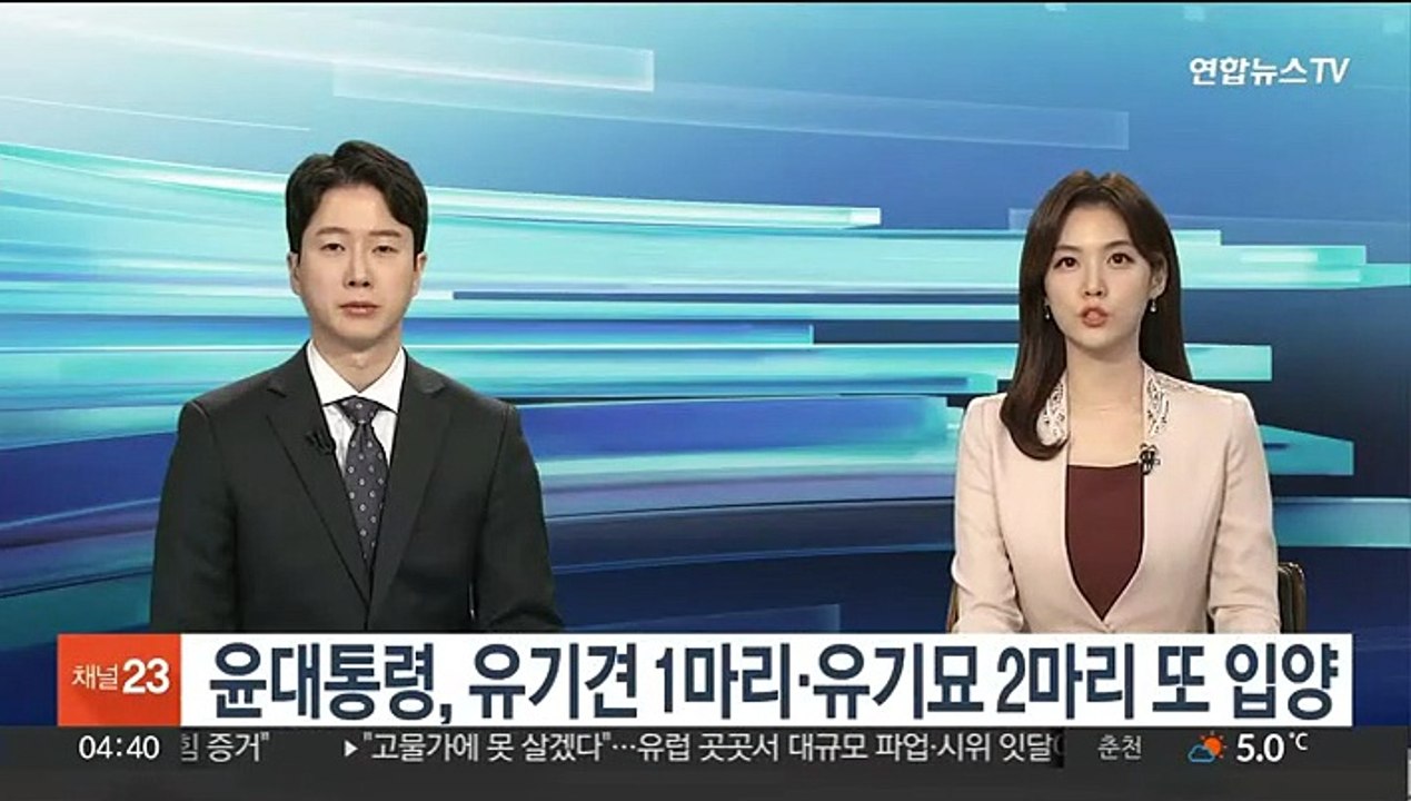 윤대통령, 유기견 1마리·유기묘 2마리 또 입양