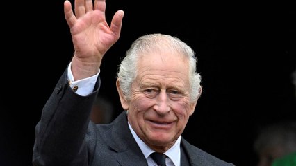 Detienen a un hombre por lanzarle huevos al rey Carlos III