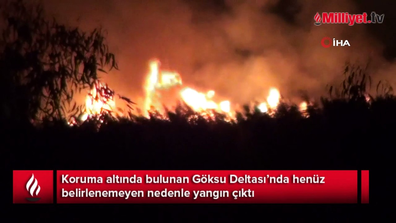 Uluslararası koruma altında bulunan Göksu Deltası’nda yangın