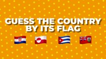 Guess The FLAG  195 Flags Flag Quiz
