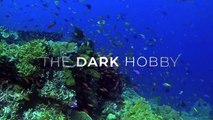 Aquariums - The Dark Hobby Bande-annonce (EN)