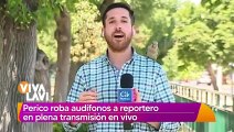Reportero sufre robo en plena tranmisión