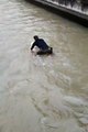 VIDEO: ¡Conmovedor! Policía de Ecuador salva a un perrito que se cae en un río