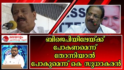 സുധാകരൻ ആർ എസ് എസ് ശാഖയ്ക്ക് സംരക്ഷണം കൊടുത്തിട്ടുണ്ട്