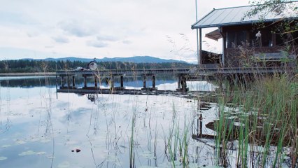 TWO IS A MAGIC NUMBER Movie