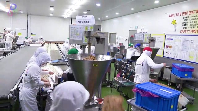 Process of making dumplings by 170 employees. South Korean dumpling factory