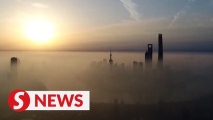 China's carbon emissions reduction goals attract foreign firms