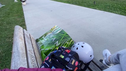 Stray Cat Climbs into Person's Bag