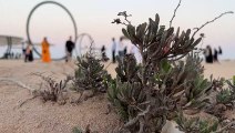 Qatar unveils desert artwork near heritage sites