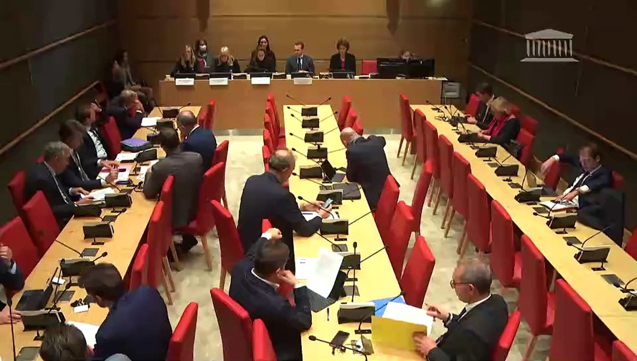 Commission du développement durable : Acceptabilité et modalités de déploiement des énergies renouvelables - Mercredi 9 novembre 2022