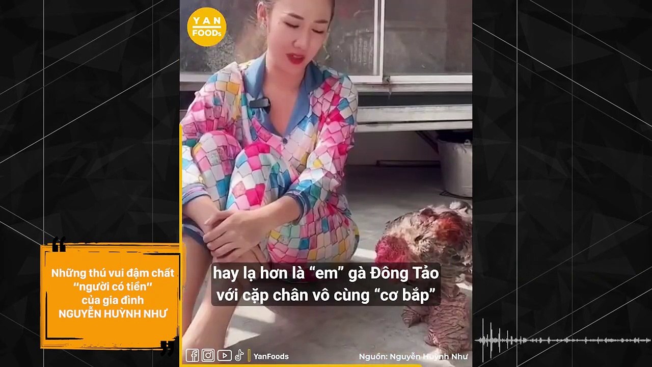 của TikToker Nguyễn Huỳnh Như: Lặn lội đường xa tìm chú trâu hồng