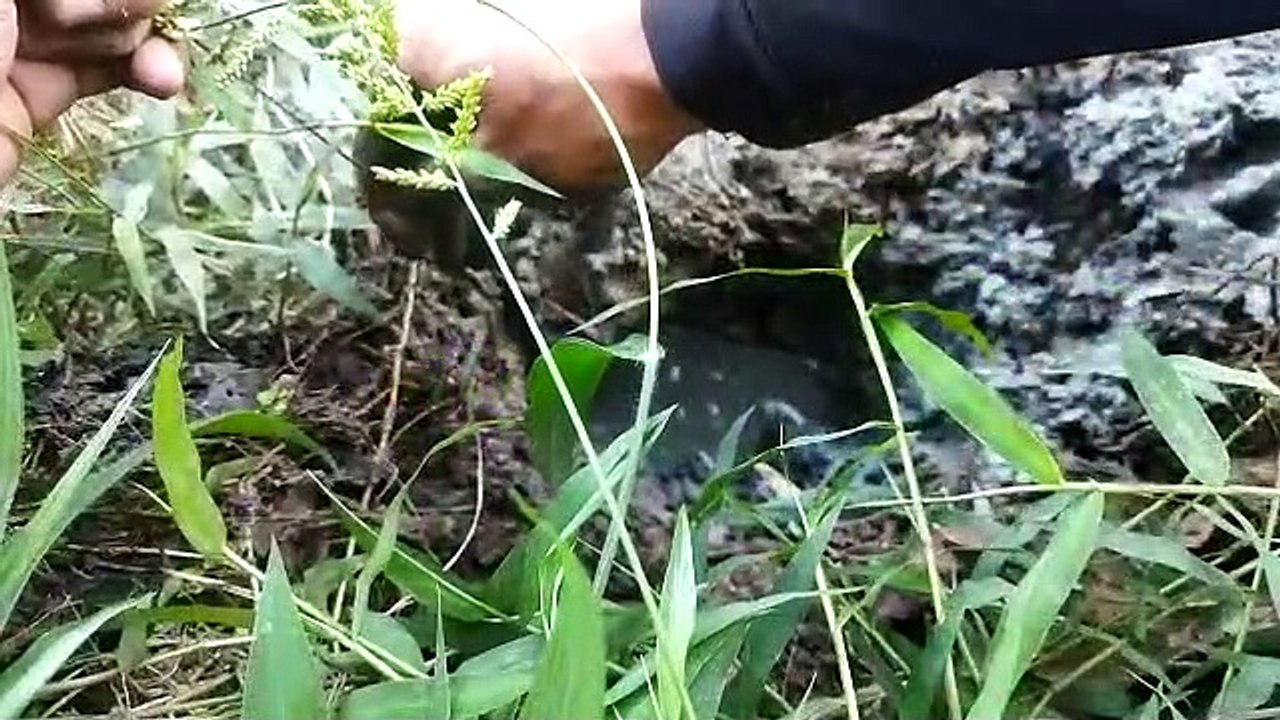 VID-20221101-WA0010