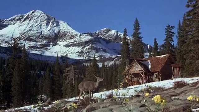 Further Adventures of the Wilderness Family Bande-annonce (EN)