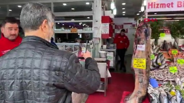 Balıkçıların ağına 2,5 metrelik yayın balığı takıldı