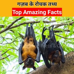 Top Amazing Facts | दुनिया का सबसे काटने वाला सांप कौन-सा है? #shorts #facts