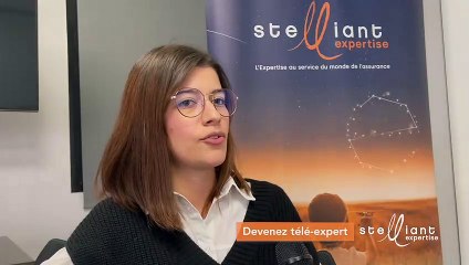 Vitrolles: Stelliant recrute des experts à distance dans le secteur de l'assurance