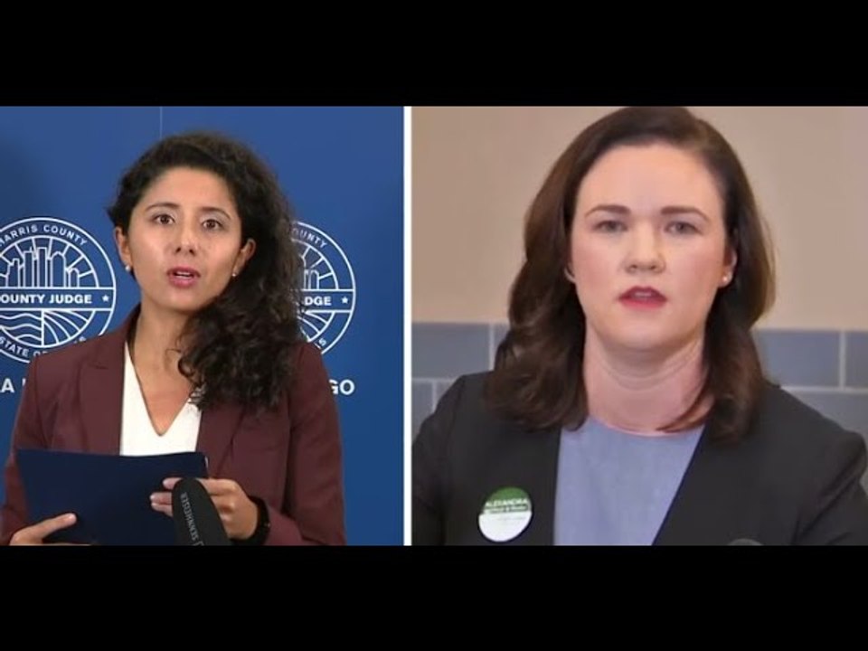 Republican Alexandra del Moral Mealer concedes Harris County Judge Lina