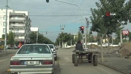 Örnek at arabacısı...At arabasıyla kırmızı ışıkta bekledi