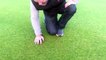 Eastbourne Downs Golf Club - new hybrid grass