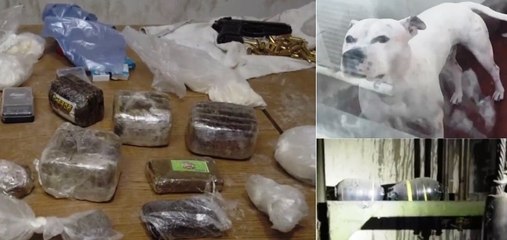 Blitz anticamorra nel Napoletano: trovate armi, droga e bombe carta (10.11.22)