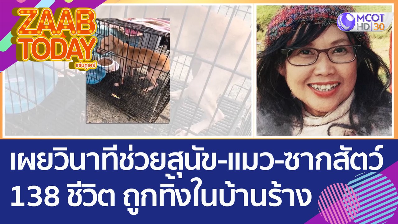 วอชด็อก ไทยแลนด์ เผยวินาทีช่วยสุนัข - แมว - ซากสัตว์ 138 ชีวิต ถูกทิ้งในบ้านร้าง (10 พ.ย. 65) แซ่บทูเดย์