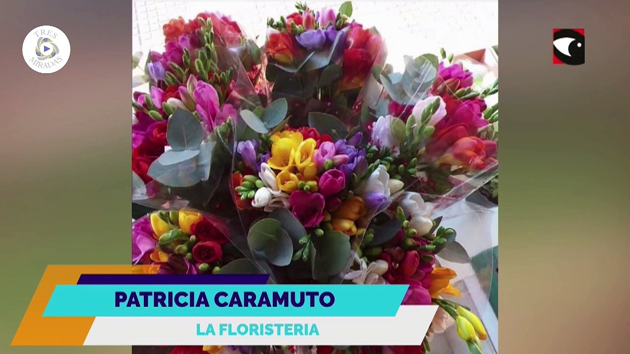 3 Miradas Programa completo numero 30