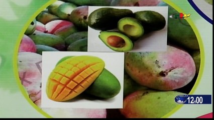 The Midday Bilingual News of November 9, 2022