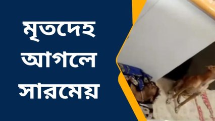 মালিকের মৃতদেহ আগলে দেশি সারমেয় ! সিনেমায় নয় বাস্তব,দেখুন ভিডিও