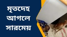 মালিকের মৃতদেহ আগলে দেশি সারমেয় ! সিনেমায় নয় বাস্তব,দেখুন ভিডিও