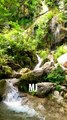 Soothing nature scenery and waterfall #forest #waterfall #naturelovers #naturesounds #mjsouvenir