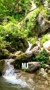 Soothing nature scenery and waterfall #forest #waterfall #naturelovers #naturesounds #mjsouvenir