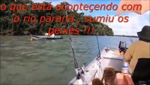 COMO FOI NO DIA 31 DE OUTUBRO ENCERRAMENTO DA PESCARIAS ANTES DA PIRACEMA !!!