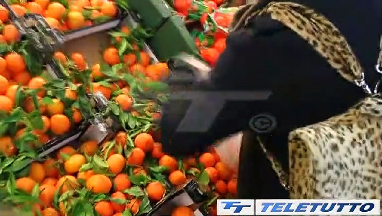 Video News - COMMERCIO, SONICO IN TESTA