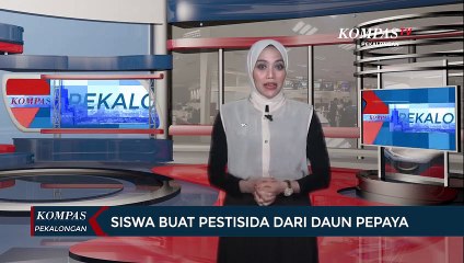 Siswa Buat Pestisida dari Daun Pepaya