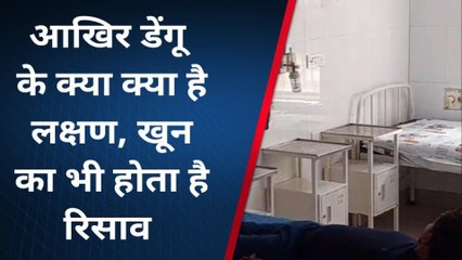 भागलपुर: डेंगू से बचने के लिए तुरंत उपचार जरूरी, नहीं तो जा सकती है जान