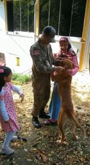 'FİNO', TERHİS OLAN SAHİBİNİN ÜZERİNE ATLADI