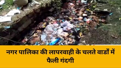 हरदोई: शहर में डेंगू से बचाव के लिए नही हो रहा फॉगिंग व छिड़काव, बजबजा रहीं नालियां