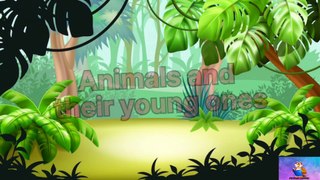 Animal and their babies/ young once of animals / animal baby/ cute animal videos/
