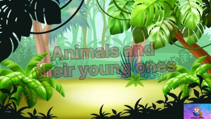 Animal and their babies/ young once of animals / animal baby/ cute animal videos/