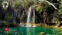 1 Hour of Beautiful Waterfall Relaxing Music with Birds Sound For Sleeping, Studying, Healing, and Meditation