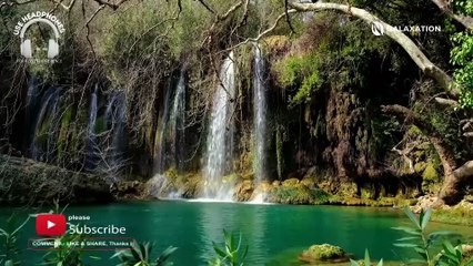 1 Hour of Beautiful Waterfall Relaxing Music with Birds Sound For Sleeping, Studying, Healing, and Meditation